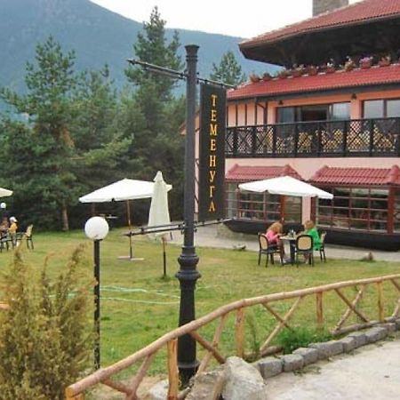 Hotel Temenuga Panichishte Ngoại thất bức ảnh